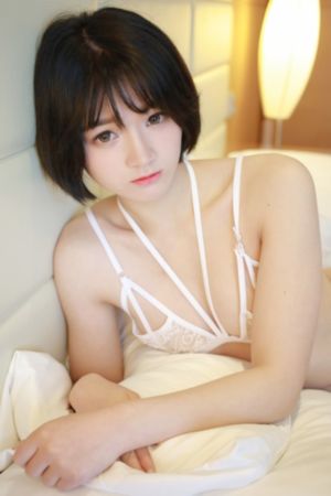 电视剧无悔追踪全集免费观看_超清高清视频观看