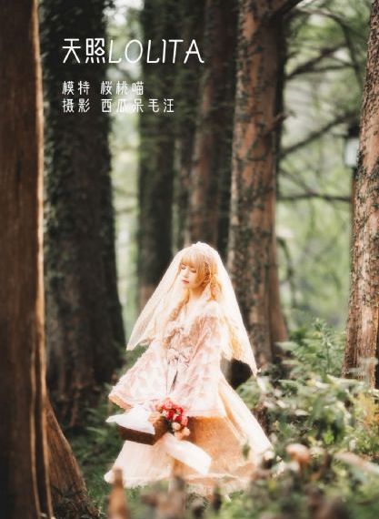 《鹿鼎记》免费观看国语版_高清免费观看电视剧
