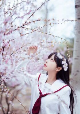 啵多野结衣电影在线观看_720免费高清观看